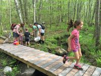 Nature Trail at East Fairhaven School