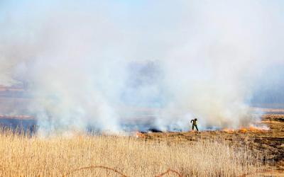 22 March 2017 - Brush Fire