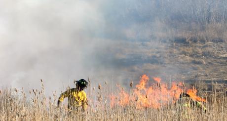 Firefighter fighting a brush fire.  Fire and smoke is showing