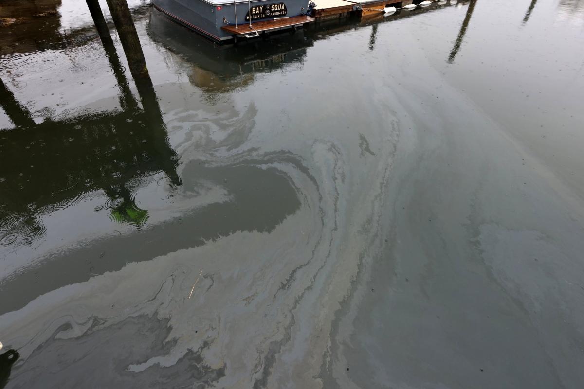 Earl's Marina Oil Spill