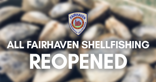 All Fairhaven shellfishing has reopened
