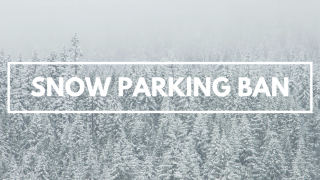 snow-parking-ban