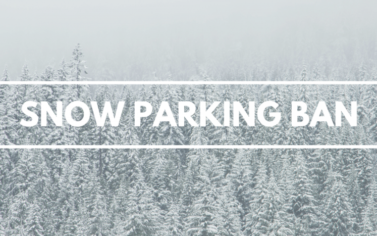 snow-parking-ban
